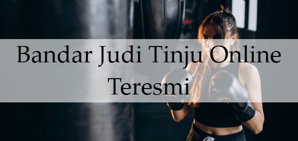 Bandar Judi Tinju Online Teresmi